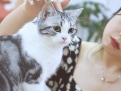-李小姐の猫咖啡馆(五角场店)