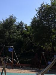 -酷酷兔少儿拓展天地