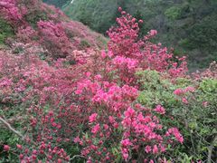 -木兰云雾山