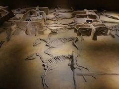 -洛阳周王城天子驾六博物馆