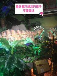 -恐龙探索乐园(磁器口店)