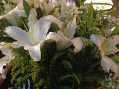大堂。弥漫百合的香氛-1901 Cafe(西四店)