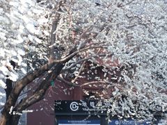 -雍和宫(地铁站)