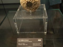 -广西壮族自治区博物馆