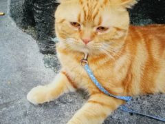 -西关84·History·Art·Cafe