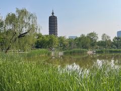 -西海子公园
