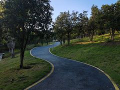 -飞凤山奥体公园
