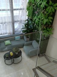 -苗医生草本科技祛痘