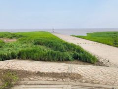 -南汇嘴观海公园