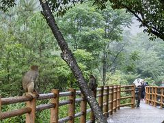 -张家界天门山国家森林公园