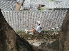 -杨家堂村