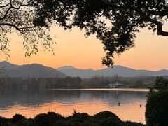 -金良酸菜鱼(宁海路总店)