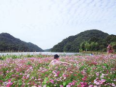 -广州市石门国家森林公园