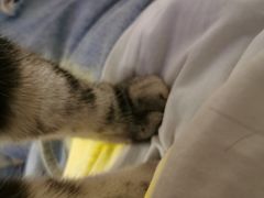 -平行世界·猫咖(首经贸店)