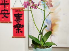 -弗劳尔花艺坊(龙涛店)