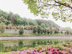 -李先念故居纪念园