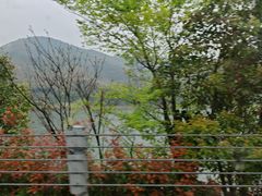 -花岙岛
