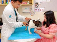 -美联众合爱康动物医院•复杂内科•肿瘤科•牙科•腔镜诊疗中心