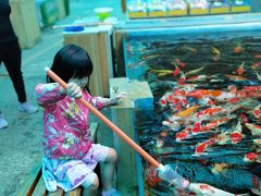-昆明动物园