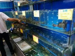 -蚝专家(北滘店)