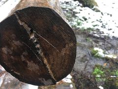 -硗碛藏寨·神木垒景区