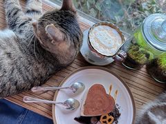 -海边的猫和咖啡馆