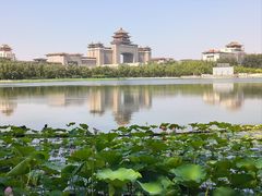 -莲花池公园