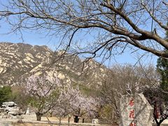 -北京凤凰岭