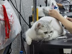 -宠物家(角门东店)