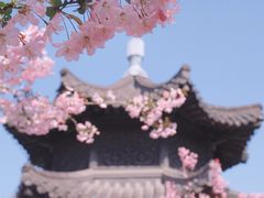 -莫愁湖公园