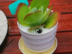 -老牌柳州螺蛳粉(同班同学美食城店)