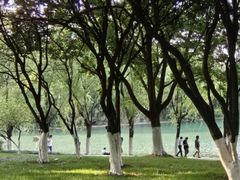 -天鹅湖体育公园