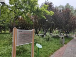 -大望京儿童游乐场