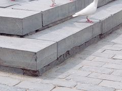 -茯茶镇