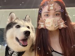 -Husky Go! 哈士奇体验馆·宠物咖啡厅狗咖