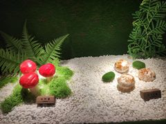 -慢丽江·云南野生菌土鸡锅(西山店)