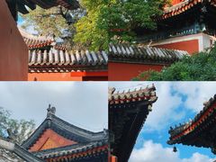 -北京艺术博物馆(万寿寺)