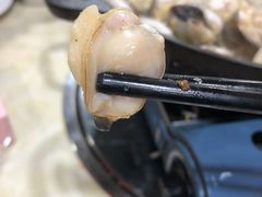 -顺德哥卜卜贝(旗舰店)