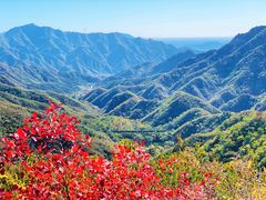 -大岭沟猕猴桃谷风景区