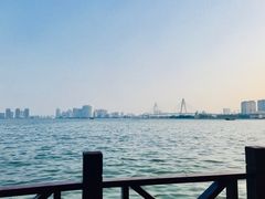 -万绿园