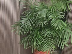 -阿伟海鲜楼·福建菜(涵江店)