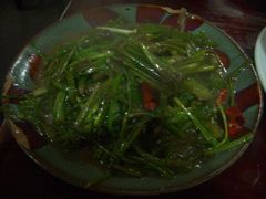 炒海菜-苍洱春饭店