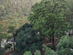 -松山湖梦幻百花洲