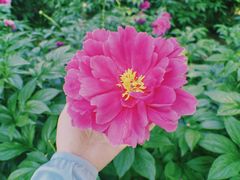 -老雒阳面馆·水席洛阳菜(王城路店)
