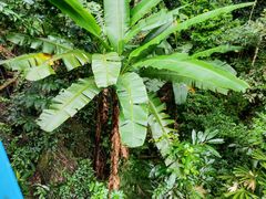 -七仙岭温泉国家森林公园