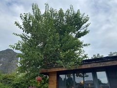 -生态苑农庄(十里画廊遇龙河店)