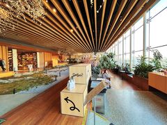 -Seesaw Coffee(朝阳大悦城店)