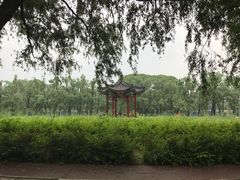 -北京麋鹿生态实验中心