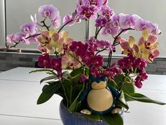 -蒙自源米线大王(江南西路店)