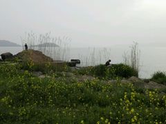 -上海市保健医疗中心(华东疗养院)